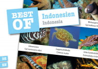 Dive Sticker Indonesien