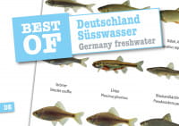 Dive Sticker Deutschland Süsswasser