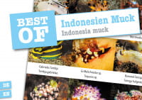 Dive Sticker Indonesien/Muck
